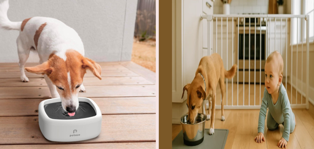 How To Keep Baby Out Of Dog Water Bowl