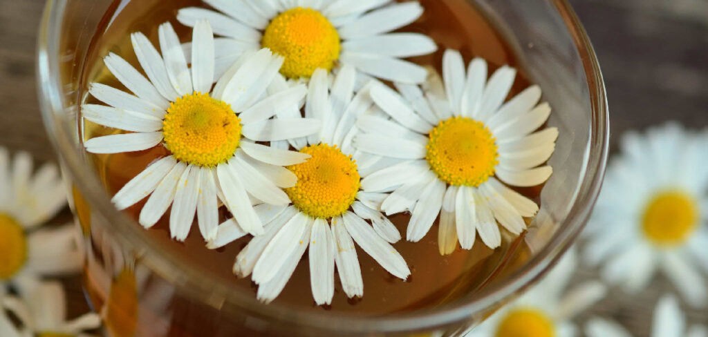 How to Make Chamomile Tea for Babies
