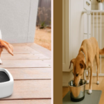 How To Keep Baby Out Of Dog Water Bowl