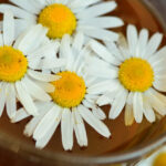 How to Make Chamomile Tea for Babies